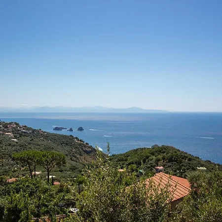 شقة Geca's House - Panoramic Sea View ماسّا لوبْرينسِ